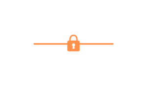 Privacycoaches logo website